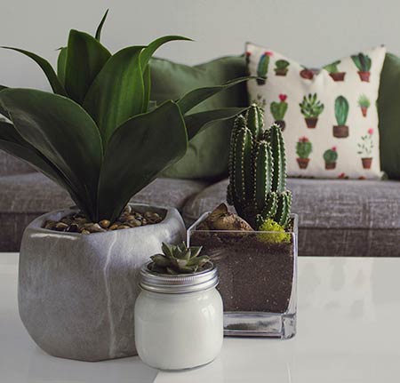 Unlocking Your Barrie Dream Home: How to Find the Best Mortgage Broker Company Near You